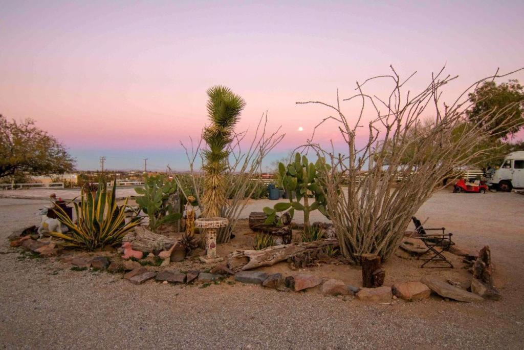 Joshua Tree Ranch House Motel - Downtown - Room #6 Dış mekan fotoğraf
