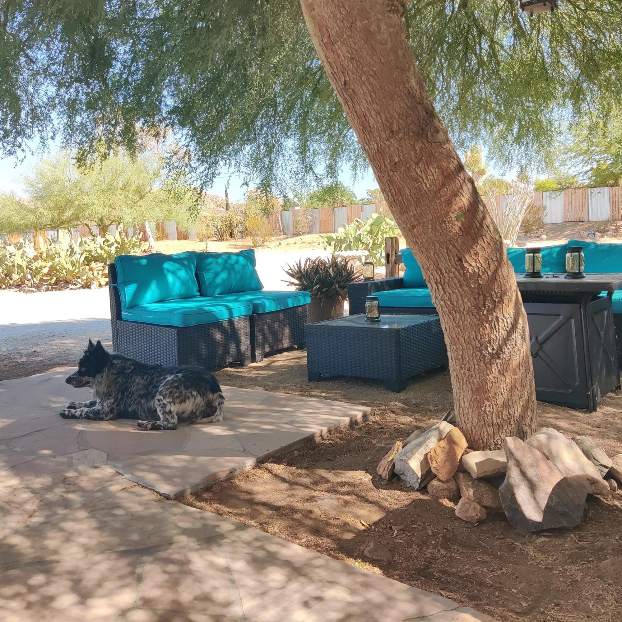 Joshua Tree Ranch House Motel - Downtown - Room #6 Dış mekan fotoğraf